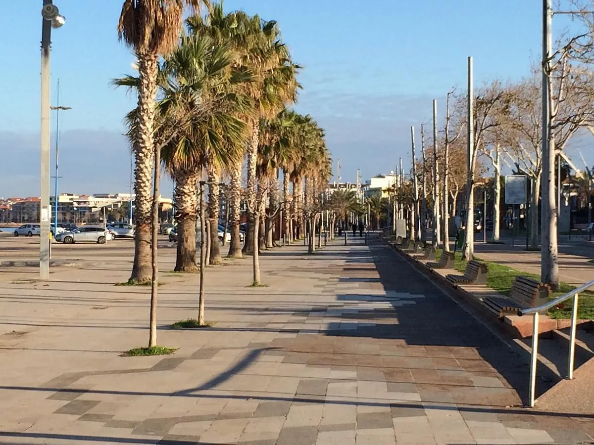 B&B Centro Del Porto Alghero Bed & Breakfast